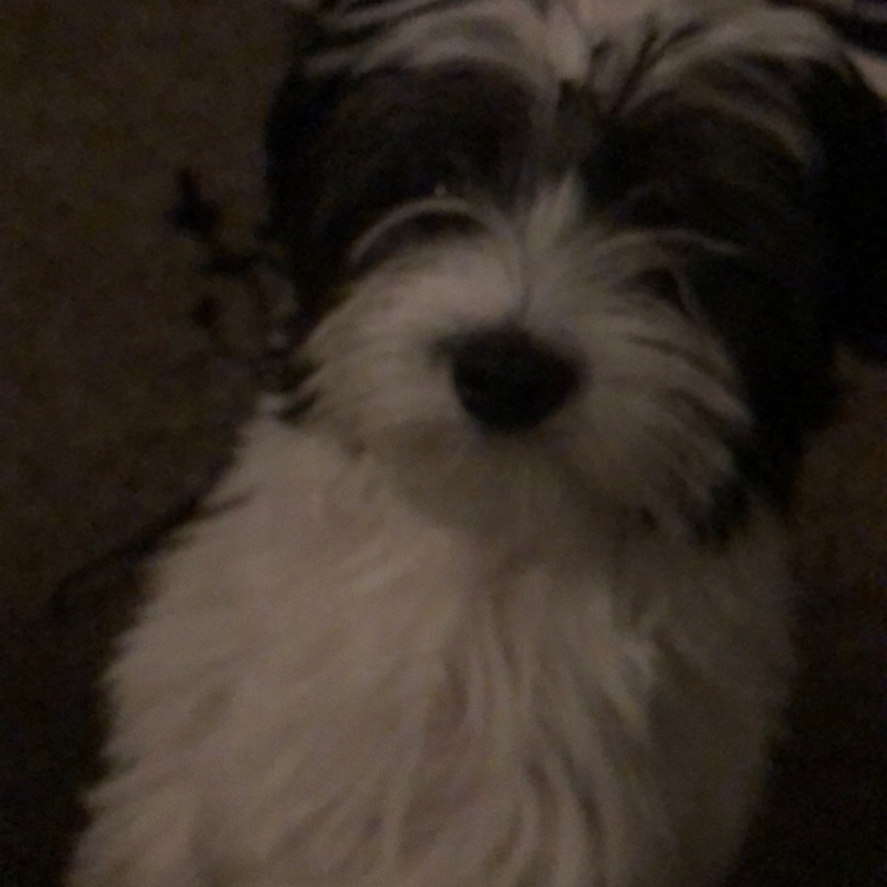 Meet your Posher, Candice